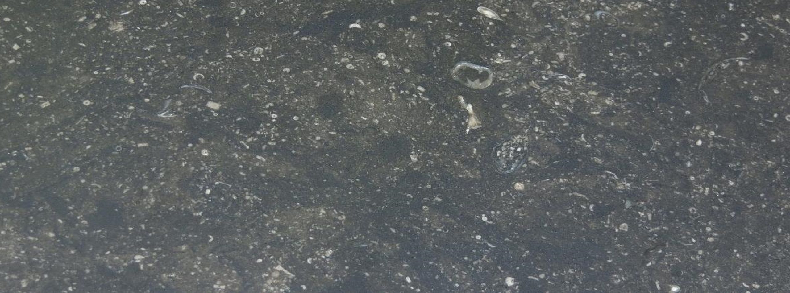 Naturstein Belgisch Granit